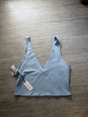 Aritzia Babaton Contour V-Neck Tank Top